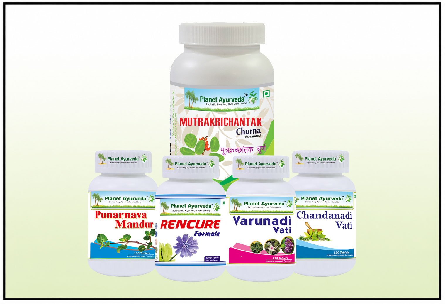 Revive Kidneys Pack, Herbal Remedies for Kidney Failure