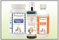 Silky Coat Pack