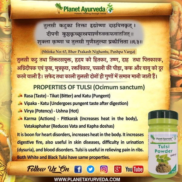 Classical Reference of Tulsi (Ocimum tenuiflorum)