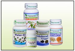 Anasarca Care Pack, Herbal Remedies for Anasarca